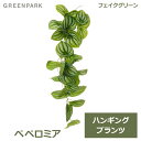 7/4~11限定!お気に入り登録でポイントプレゼント!※要エントリー フェイクグリーン 観葉植物 人口観葉植物 造花 壁掛け ペペロミア グリーン ハンギング プランツ シングル 単品 天井緑化 おしゃれ エコ PRGR-1582 GREENPARK 送料無料 インテリア 人気 上品 人工植物 グリ