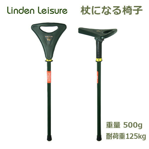  ˤʤ ػ  ǥ쥸㡼  500g ¤ Ĥ ƥå  ޤꤿ ϥ  Linden Leisure S005 ȥɥ ϥ ץ쥼 ե £ʪ ġ եå  ̵