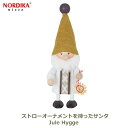 最大100%ポイントバック!※条件あり ノルディカ ニッセ NORDIKA nisse 2024 新作 クリスマス雑貨 飾り サンタ 人形 インテリア 北欧 サンタクロース ストロー オーナメント Jule Hygge NRD120801 送料無料 ラッピング対応 妖精 ギフト フェルト 可愛い 小さい プレゼント