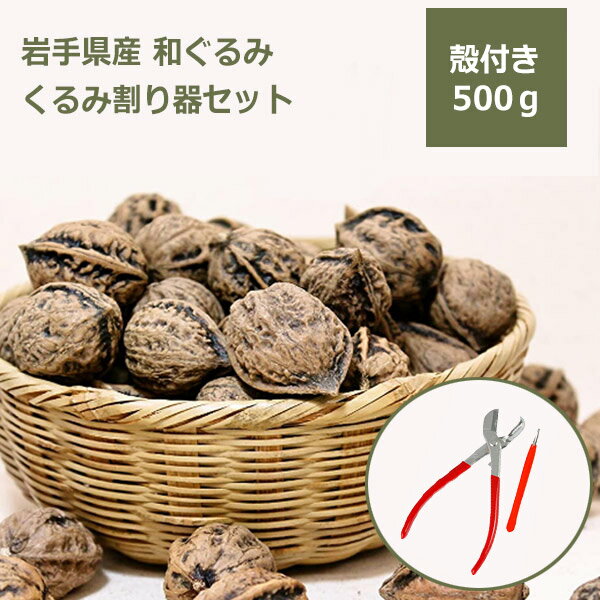 和くるみ 国産 殻付き 500g 鬼胡桃 オニグルミ くるみ割り器 ほじくるみん セット メール便 対応 岩手県産 ギフト プレゼント ダイエット ナッツ 健康 復興支援 ヘルシー 無塩 無添加 美味しい お菓子 料理 トッピング 材