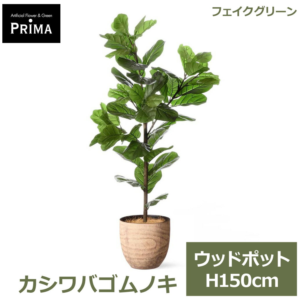 Rakuten - エントリーでポイント5倍&2%OFFクーポン フェイクグリーン 観葉植物 人工観葉植物 造花 カシワバゴムノキ ウッドポット H150cm 植物 大型 鉢付き プランター付き 木目 フェイク PRGR-1714 GREENPARK 送料無料 人気 グリーン モダン 北欧 インテリア グリーンパーク プレゼン
