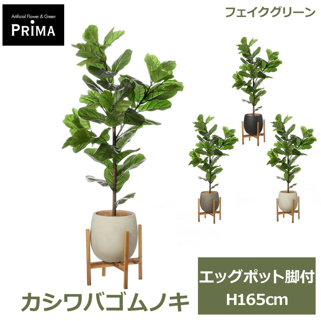 Rakuten - エントリーでポイント5倍 フェイクグリーン 観葉植物 人工観葉植物 カシワバゴムノキ エッグポット脚付 H165cm 植物 大型 鉢付き プランター付き グリーン フェイク PRGR-1712 GREENPARK 送料無料 インテリア 人気 北欧 モダン ナチュラル グリーンパーク プレゼント ギフト
