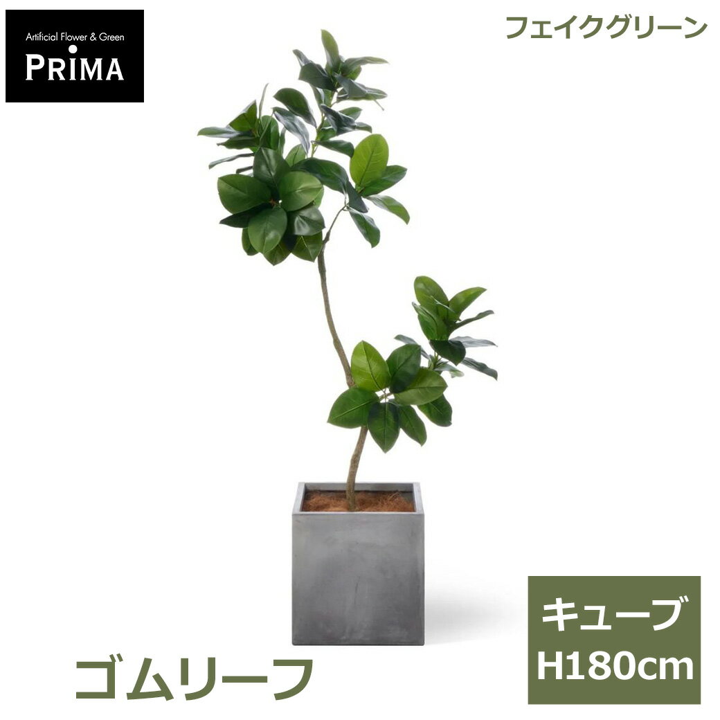 Rakuten - エントリーでポイント5倍 フェイクグリーン 観葉植物 人工観葉植物 ゴムリーフ ゴムの木 キューブ H180cm 植物 大型 鉢付き プランター付き フェイク グリーン PRGR-1620 GREENPARK 送料無料 インテリア 人気 北欧 モダン ナチュラル グリーンパーク プレゼント ギフト シン