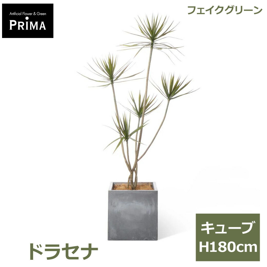 乐天商城 - エントリーでポイント5倍 フェイクグリーン 観葉植物 人工観葉植物 ドラセナ コンシンネ キューブ H180cm 植物 大型 鉢付き プランター付き フェイク グリーン 人気 PRGR-1728 GREENPARK 送料無料 モダン インテリア 北欧 ナチュラル グリーンパーク プレゼント ギフト シン