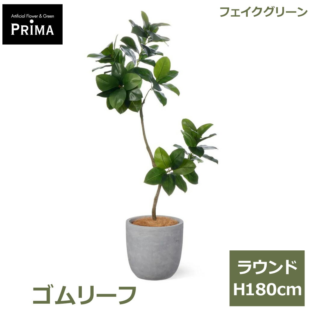 乐天商城 - エントリーでポイント5倍 フェイクグリーン 観葉植物 人工観葉植物 ゴムリーフ ゴムの木 ラウンド H180cm 植物 大型 鉢付き プランター付き フェイク グリーン 人気 PRGR-1621 GREENPARK 送料無料 モダン インテリア 北欧 ナチュラル グリーンパーク プレゼント ギフト シン
