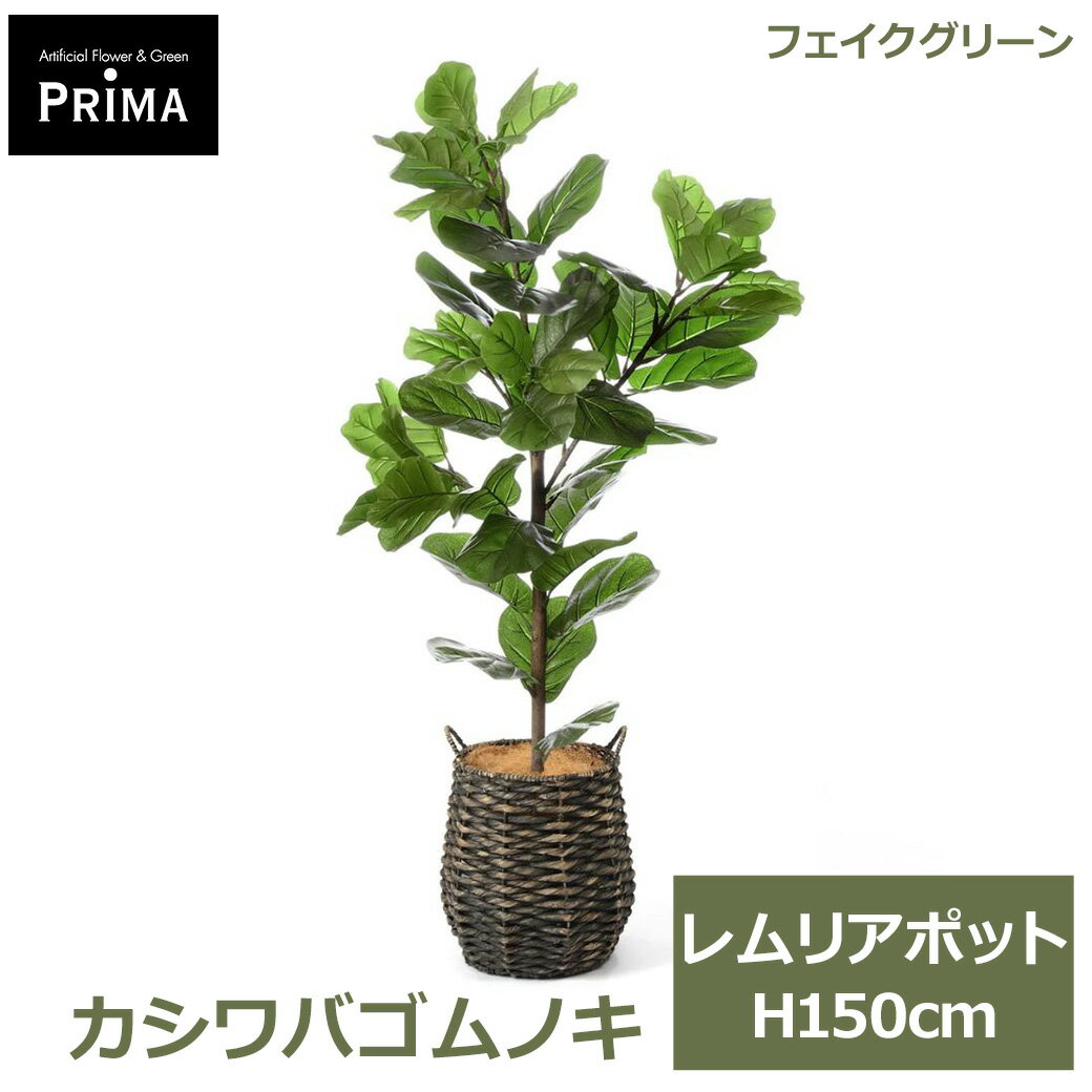 乐天商城 - エントリーでポイント5倍 フェイクグリーン 観葉植物 人工観葉植物 カシワバゴムノキ レムリアポット H150cm 植物 大型 鉢付き プランター付 水草 フェイク グリーン PRGR-1713 GREENPARK 送料無料 人気 インテリア モダン 北欧 ナチュラル グリーンパーク プレゼント ギフト