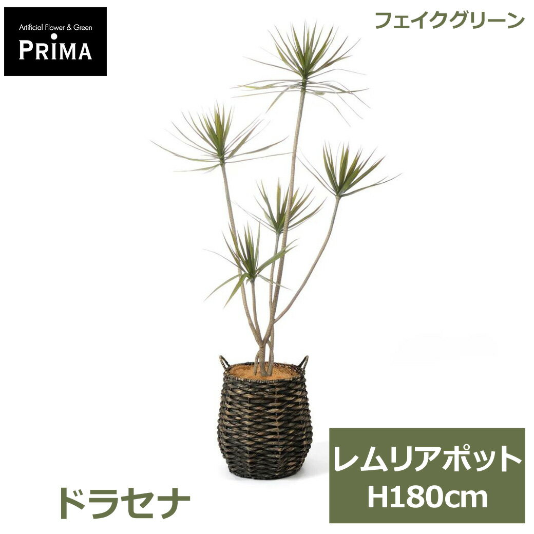 エントリーでポイント5倍&2%OFFクーポン フェイクグリーン 観葉植物 人工観葉植物 ドラセナ コンシンネ レムリアポット H180cm 植物 大型 鉢付き プランター付き フェイク グリーン PRGR-1727 GREENPARK 送料無料 人気 インテリア モダン 北欧 ナチュラル グリーンパーク プ