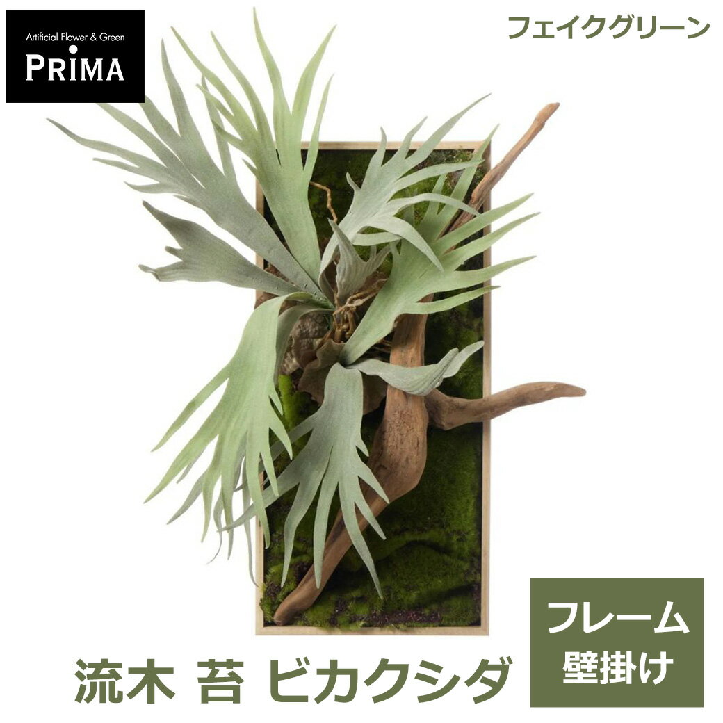 楽天市場】流木（種類（植物）ビカクシダ（コウモリラン））（花