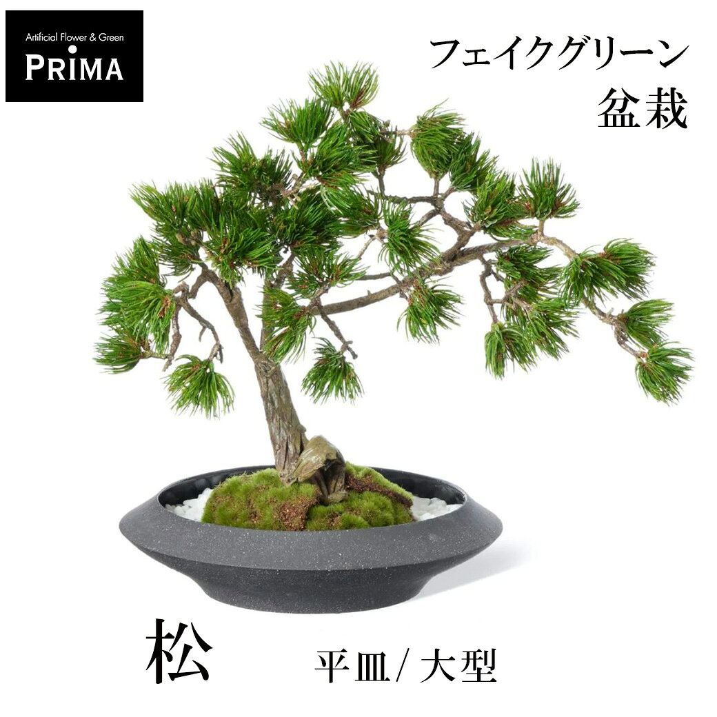 楽天市場】強化ガラス（盆栽｜花・観葉植物）：花・ガーデン・DIYの通販