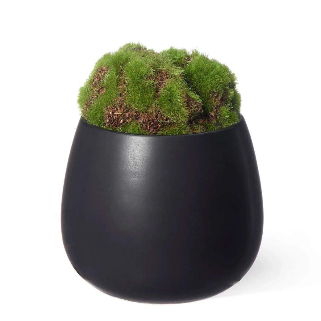 viewgarden ビューガーデンの盆栽 苔盆 しずく 苔盆アート 苔 フェイクグリーン 観葉植物 人工観葉植物 コケ こけ 盆栽セット 寄せ植え 植物 和風 和室 リアル インテリア PRGR-1659 CUPBON 送料無料 造花 置物 アレンジ 水やり不要 人気 フェイク カップボン｜アングル3