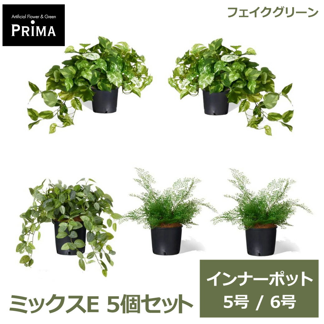 Leafy Plants - フェイクグリーン 観葉植物 人工観葉植物 フィットニア ポトス アジアンタム インナーポット 5個セット 5号 6号 鉢にセットするだけ 植物 PRGR-1429P GREENPARK 送料無料 葉 グリーン 水やり不要 人気 アレンジ インテリア アレンジメント フェイク モ