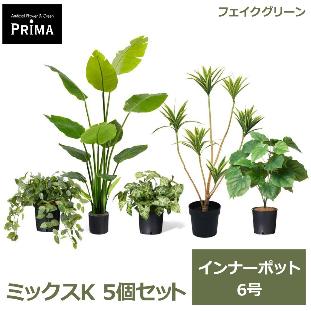 フェイクグリーン 観葉植物 人工観葉植物 フィットニア カラジウム ウンベラータ ストレリチア ドラセナ インナーポット 5個セット 6号 PRGR-1436P6 GREENPARK 送料無料 植物 鉢にセットするだけ まとめ買い 大量 葉 グリーン 水やり不要 人気 アレンジ