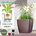植木鉢 プランター おしゃれ ガーデニング雑貨 鉢 レチューザ クアドロ ジョーカー 35 17L 水やり 簡単 プラスチック ホワイト ブラック レッド ベー...