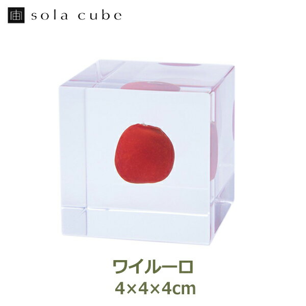 ワイルーロ Sola cube 宙 ソラキューブ ウサギノネドコ おしゃれ インテリア 立体標本 透明 植物 小物 ..