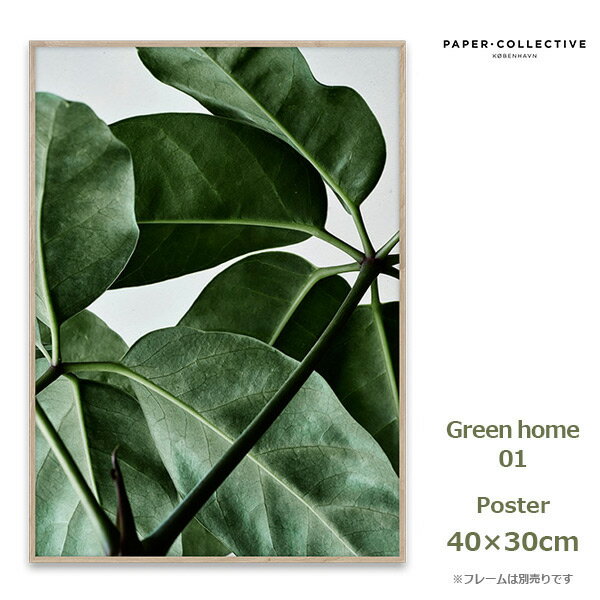 ポスター Green home 01 30x40cm ペーパーコレクティブ 09118 北欧 インテリア アート 植物 デザイン 自然 おしゃれ ナチュラル 葉 グリーン Paper Collective 風景 壁掛け デンマーク リビング 玄関 カフェ cafe コンテン