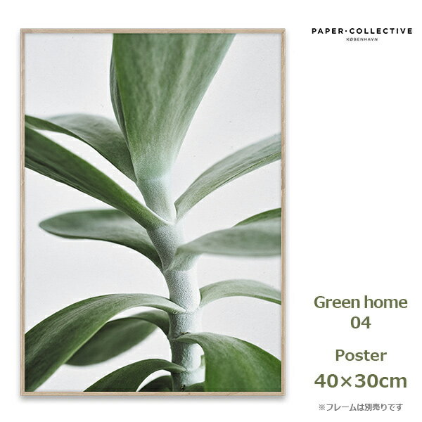 ポスター Green home 04 30x40cm ペーパーコレクティブ 09109 北欧 インテリア アート 植物 デザイン 自然 おしゃれ ナチュラル 葉 グリーン Paper Collective 風景 壁掛け デンマーク リビング 玄関 カフェ cafe コンテン