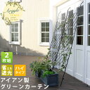 最大1000円OFFクーポン&100%ポイントバック アイアン製グリーンカーテン アーガイル 2枚組【送料無料 フェンス アイアン グリーンフェンス ゴーヤ 薔...