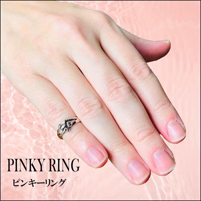 ������ �ȥ���� �ԥ󥭡���� ����С� ���������꡼