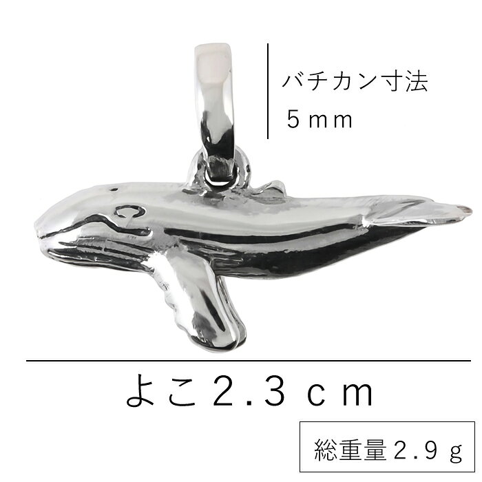 クジラ 鯨 チャーム アクセサリー シルバー925 純銀の商品画像 3