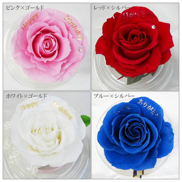 １本 お花に直接メッセージを入れた新シリーズ！ 【MessageRose】気持ちを伝える一輪のバラメッセージローズ プリザーブドフラワー[PW]