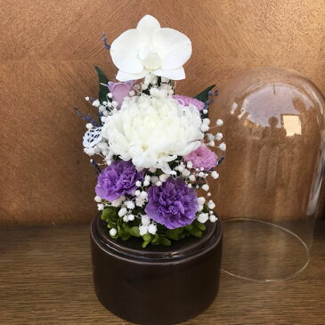 仏花 Lサイズガラスドーム入 偲い 胡蝶蘭と輪菊淡藤色の小花アレンジ 咲き続ける生花 プリザーブドフラワー ギフト[PW]