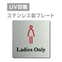 楽天サインビゴラスメール便対応〈ステンレス製〉【両面テープ付】【Ladies Only プレート（正方形）】ステンレスドアプレートドアプレート W150mm×H150mm プレート看板