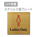 楽天サインビゴラスメール便対応〈ステンレス製〉【両面テープ付】【Ladies Only プレート（正方形）】ステンレスドアプレートドアプレート W150mm×H150mm プレート看板