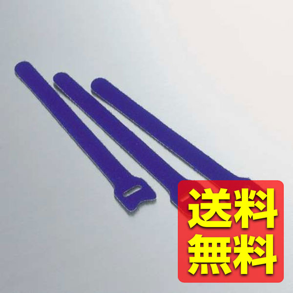 ELECOM 結束バンド LD-MT1BU3 / ELECOM エレコム 【送料無料】