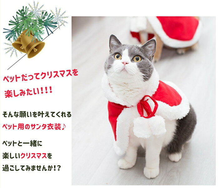 �ڥå� ���ꥹ�ޥ��ޥ�� ǭ �� ���ꥹ�ޥ� ������ �����դ� �����ץ� ���� ���� �ޥ�� ���󥿥����� ���� �������塼�� ���󥿥������� �夰��� �ڥå��� ǭ�� ���� �ɥå������� ����åȥ����� �ͤ� �İ��� ���襤�� ������� ������ �淿�� ���� �ѡ��ƥ��� 4TYPE