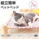 ペット用帽子 コーデュロイキャップ つば付き 犬 耳穴付き サイズ調整 サンバイザー おしゃれ かわいい お散歩 日よけ 熱中症対策 小型犬 中型犬 大型犬 紫外線対策 猫