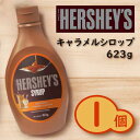 yܖ2025.04.04zn[V[ LVbv 623g~1HERSHEY'S SYRUP CARAMEL FLAVOUR L\[X kCEꌧ+650~ʓr܂B