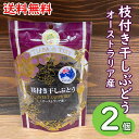 賞味期限：2024.08.17枝付き干しぶどう 80g×2個/龍屋物産オーストラリア産 スイートサファイア種　枝付きレーズン