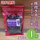 賞味期限:2025.12.09【ネコポス発送で送料無料】業務用にも!枝付き干しぶどう 250g×1個/龍屋物産オーストラリア産 スイートサファイア種 枝付きレー...