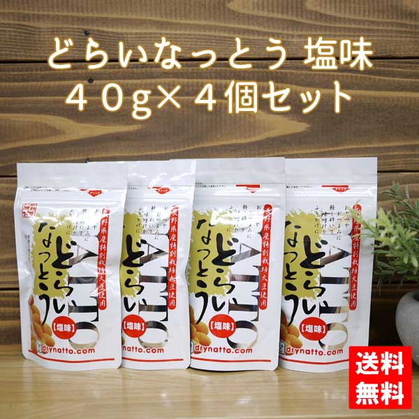 【ネコポス発送で送料無料 ※代引き・同梱不可】どらいなっとう(ドライ納豆)塩味 40g×4個セット/村田商店