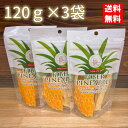 ドライパイン 1kg ドライフルーツ タイ産 世界美食探究 パイナップル 乾燥パイン 製菓材料 製パン おやつ 国内加工 柔らかタイプ