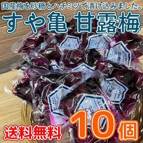 【送料無料】ハチミツ入り 甘露梅 85g×10個 /すや亀 善光寺門前みそ老舗 ※他商品との同梱不可※北海道500円・沖縄県1000円別途送料がかかります。