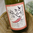 とうがらし梅酒 1800ml / 本家松浦酒造