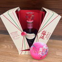 【送料無料】サントリー梅酒〈山崎蒸溜所貯蔵梅酒〉EXTRA BLEND 2025 700ml※北海道500円・沖縄県1000円別途送料がかかります。