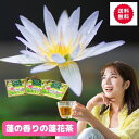 【25個】ベトナム蓮花茶　25個入り【メール便で送料無料】