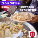 羊肉水餃36個入り (12個×3袋) ラム水餃子 羊肉餃子 ラム餃子 もちもち羊肉水餃子 本場の味 水餃子 36個入り【送料無料】中華点心 水餃子 冷凍食品 台湾グルメ 台湾料理 台湾お土産 台湾おみやげ 台湾 食品 台湾物産館 台湾食材 中華食材