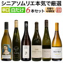 ソムリエ厳選セット 月替り「ちょっと贅沢ワイン」世界各国飲み比べ 白だけ6本セット 4月セレクト 【送料無料】【白ワインセット】 ワイン 飲み比べセット セットワイン