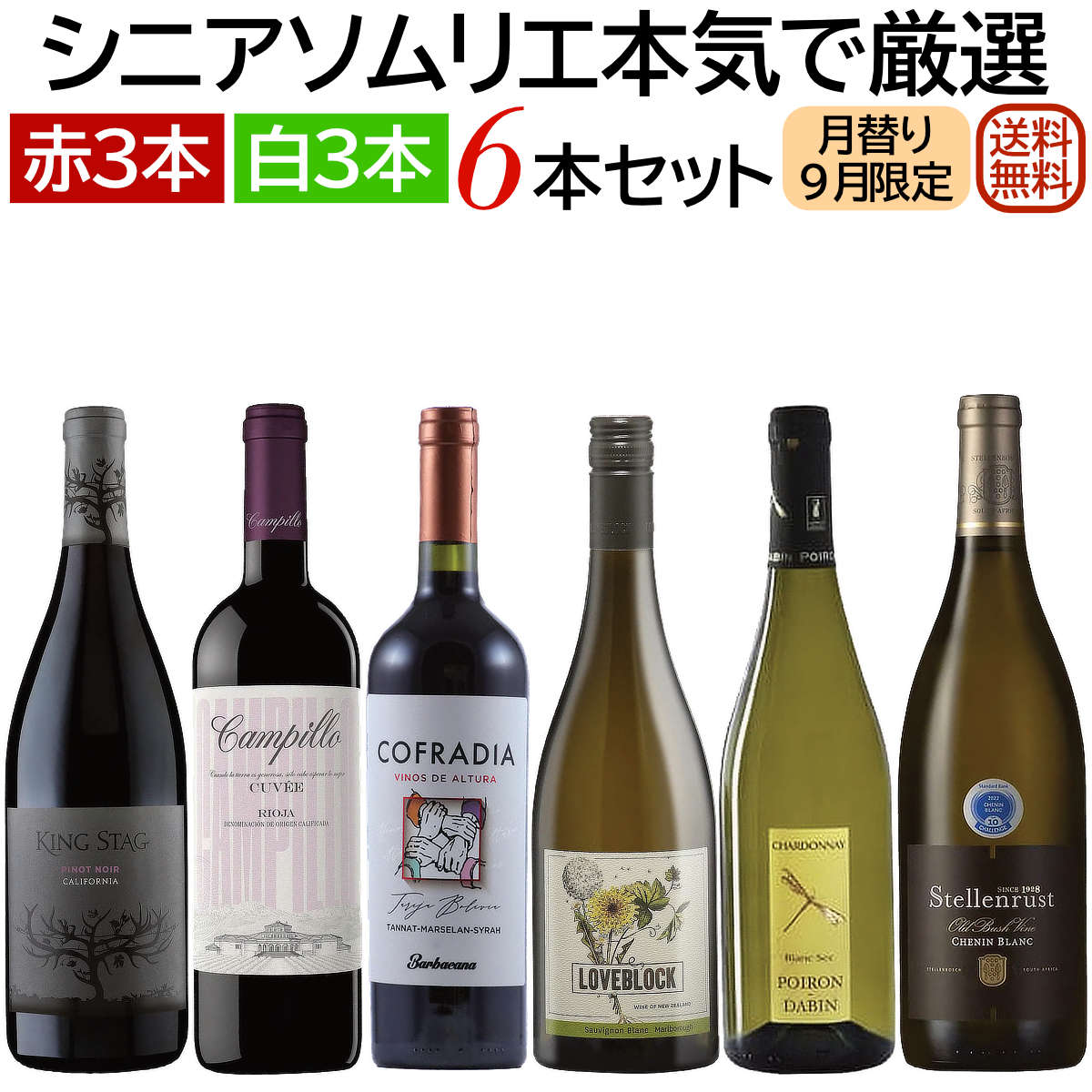 ソムリエ厳選セット 月替り「ちょっと贅沢ワイン」世界各国飲み比べ 赤・白6本セット(赤3本、白3本）9月セレクト 【…