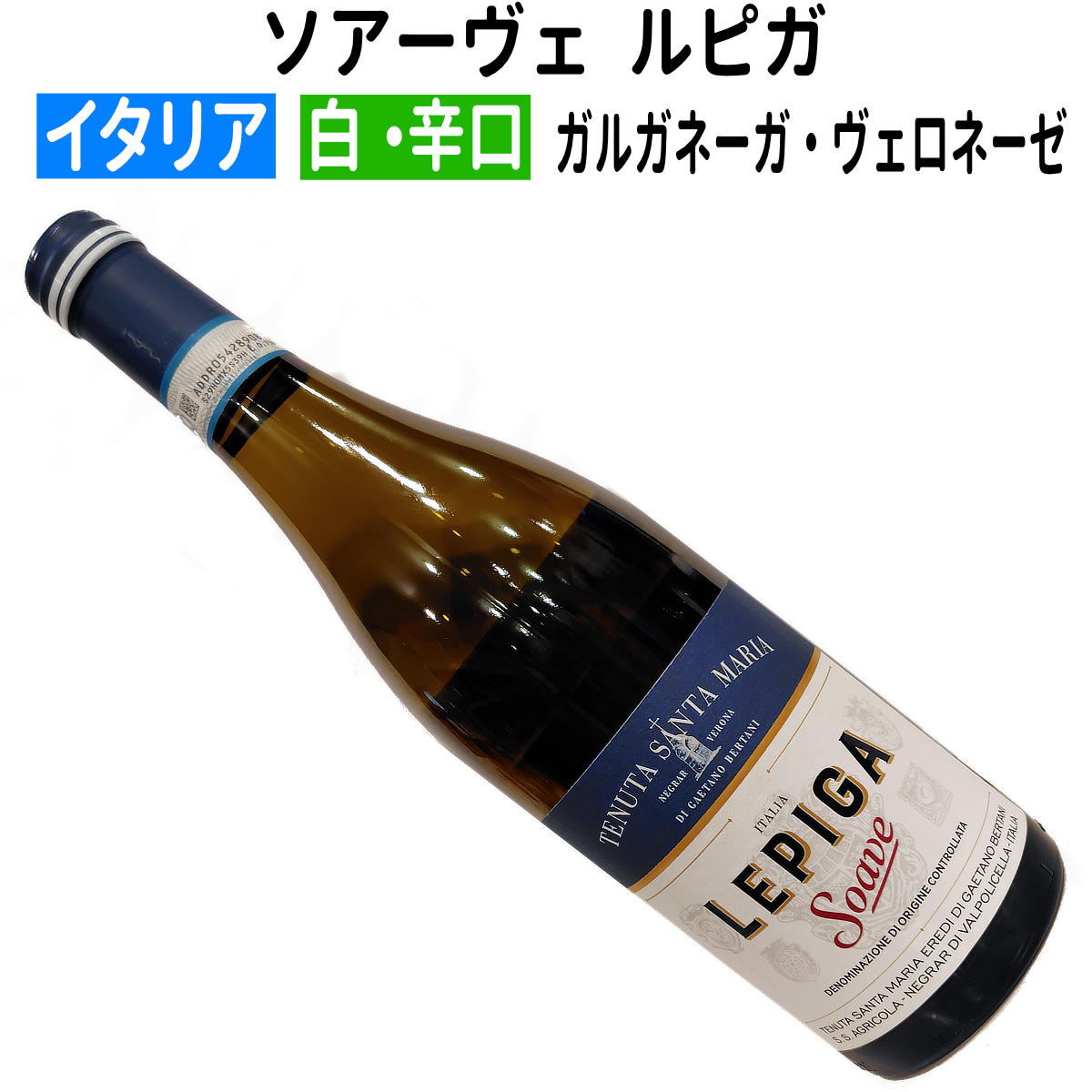 ڥꥢ磻ۡ磻ۥԥ 2023οɸ