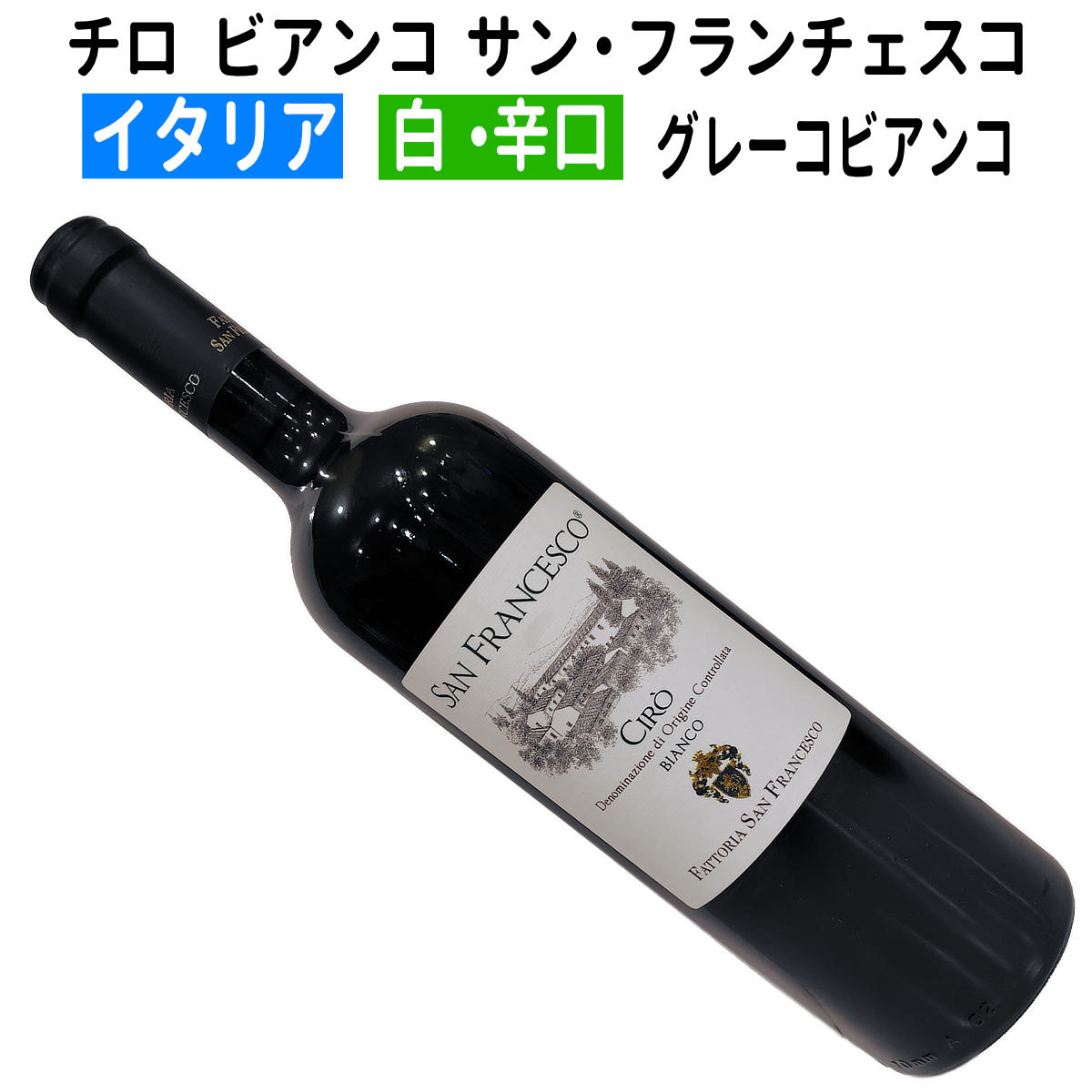 ڥꥢ磻ۡ磻ۥӥ 2024󡦥ե[ɸ]