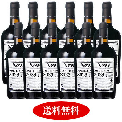 船便！ファンティーニ（ファルネーゼ） ヴィーノ ノヴェッロ 2023 12本セット【新酒ワイン】【赤ワインセット】【送料無料】 ワイン イタリア