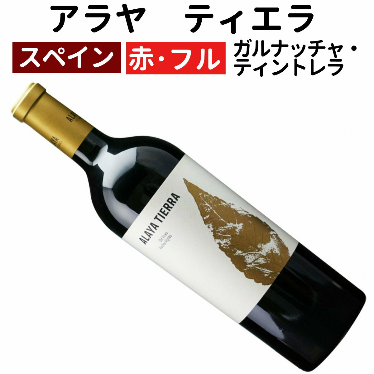 �ڥ��ڥ���磻��ۡ��֥磻��ۥ���䡡�ƥ����顡2021���ܥǥ������������Υե�ܥǥ�����