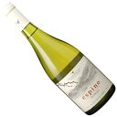 チリワイン 【チリワイン】【白ワイン】エスピノ　シャルドネ 2022ヴィーニャ・ウィリアム・フェーヴル・チリ［辛口］