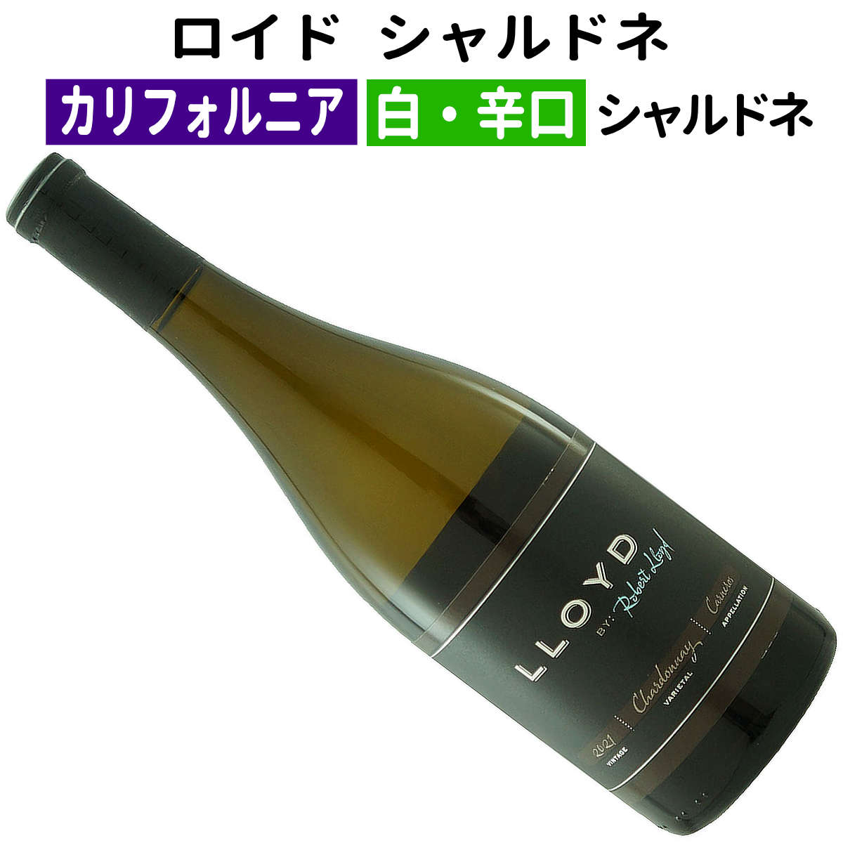 ڥꥫ磻ۡ磻ۥ ɥ 2021οɸ