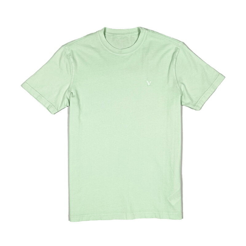 アメリカンイーグル AMERICAN EAGLE メンズ Men 039 s 半袖 Tシャツ AE Super Soft Icon T-Shirt アイコン ワンポイント ミント
