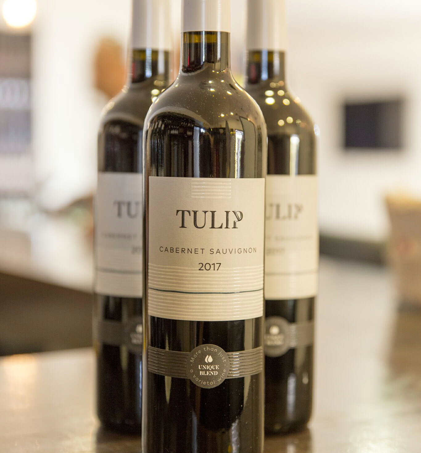 赤ワイン 希少 イスラエルワイン TULIP カベルネ・ソーヴィニヨン2022 高級 イスラエル ワイン プレミアムワイン 辛口ワイン お祝い プレゼント ギフト 贈り物 おしゃれ 美味しい 辛口 高級ワイン 一本 最高級 ワイン好き お酒好き 酒好き おいしいワイン 赤ワインおいしい vinaskatrading-10000024 Vinaska wine 楽天市場店 サンプル画像3